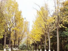 -苏州河梦清园环保主题公园