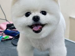 -美联众合动物医院(唯恩分院)