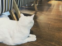 -天地無用GAME BAR