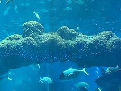 -海合安青岛极地海洋公园