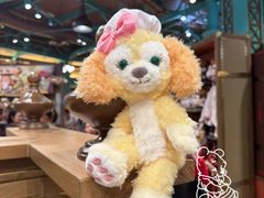 -包整·丝娃娃(一览甲秀楼风景店)