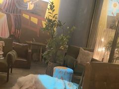 -咖法森林·咖啡  酒吧(天河店)