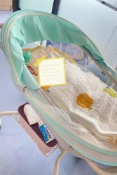 -弗蕾亚·和月月子调理院(东湖店)