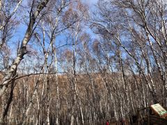 -塞罕坝国家级自然保护区