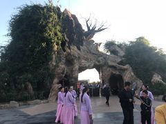 -大槐树寻根祭祖园
