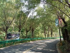 -王顺山国家森林公园