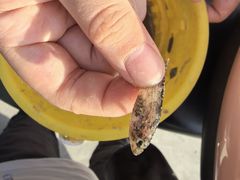 -嵊泗基湖沙滩
