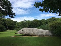 -吴淞炮台湾湿地森林公园烧烤区