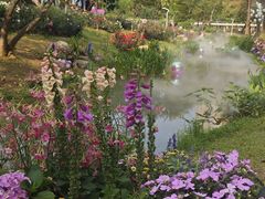 -人民公园(罗湖区)