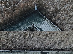 -野鸭湖国家湿地公园