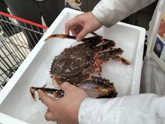 -大润发(康桥店)