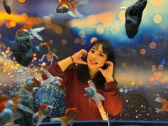 -顺德南宏海立方海洋公园