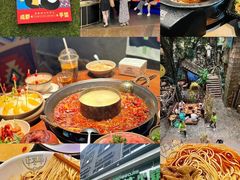 -成都大熊猫繁育研究基地