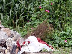 -北京东方普罗旺斯薰衣草庄园