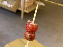-长春堂顺时而饮(前门店)