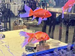 -陶缘一号·四季缘·老字号顺德菜·户外婚礼家宴(西滘店)