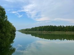 -苏州太湖国家湿地公园