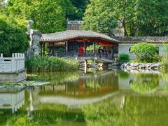 -顺峰山公园