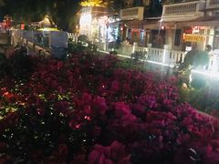 -归觅·西关小姐人文艺术馆(荔枝湾店)