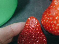 -果多美(三里河店)