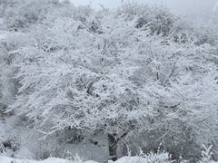 -太子岭滑雪场