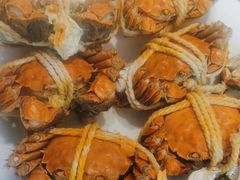-杨氏青龙虾·羊蝎子(托乐嘉店)