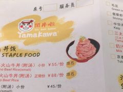 -YAMAKAWA(龙湖胥江天街店)