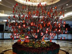 -广东胜利宾馆西关粤中餐厅