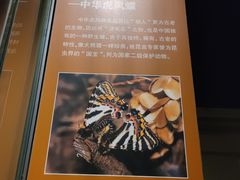 -天津自然博物馆