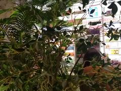 -高胖妹面庄(黄河道店)