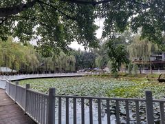 -巴山一绝烤全羊(三圣乡刘家花园店)