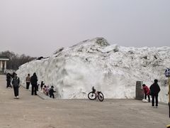 -北陵公园