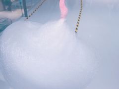 -芭比堂宠物医院·全科爱猫医院·仁德分院