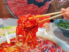 -渝大龙重庆火锅(温泉月亮湾店)
