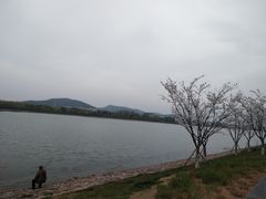 -羊山湖公园