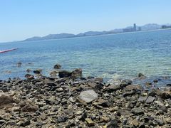 -养马岛旅游度假区