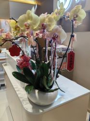 -万阡国际专业祛斑·祛痣·祛疤连锁