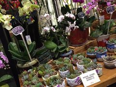 -豆豆花艺(新光天地店)