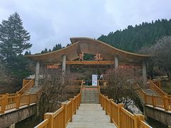 -黄龙山原始森林景区