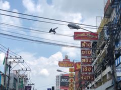 -瓦洛洛传统市场