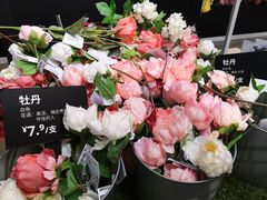 -宜家·瑞典风味餐厅(北京西红门店)