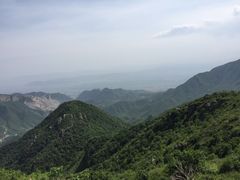 -空中草原