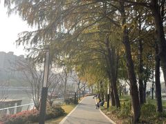 -苏州河梦清园环保主题公园