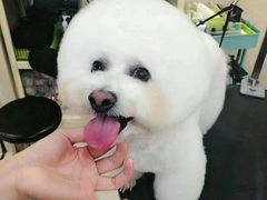 -多卡布奇宠物生活馆(上林世家店)