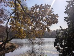 -紫霞湖公园