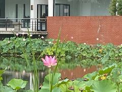 -石家庄市植物园
