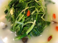 鸡毛菜-局气烤鸭·北京菜(前门店)