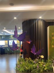 -苏州奥拉克美容医院