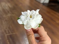 -参差咖啡(水果湖公园店)