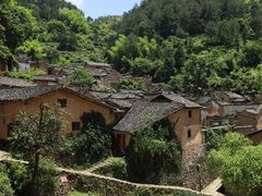 -杨家堂村
